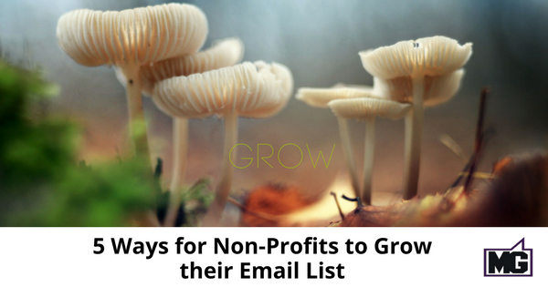 5 Ways for Non-Profits to Grow their Email List